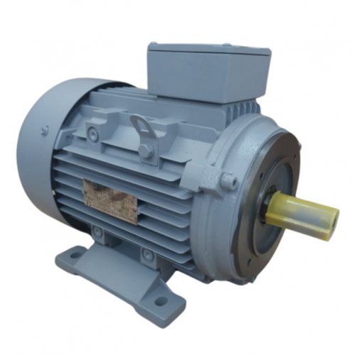 Motor Elétrico IR3 Premium Trifásico 0,25CV 4 Polos (TESTE)