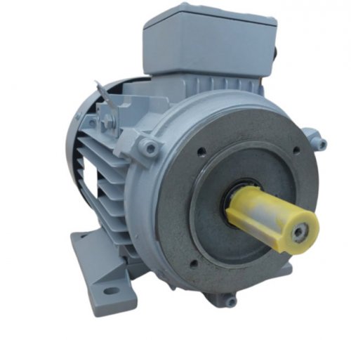 Motor Elétrico IR3 Premium Trifásico 0,25CV 4 Polos