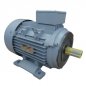 Motor Elétrico IR3 Premium Trifásico 0,25CV 4 Polos